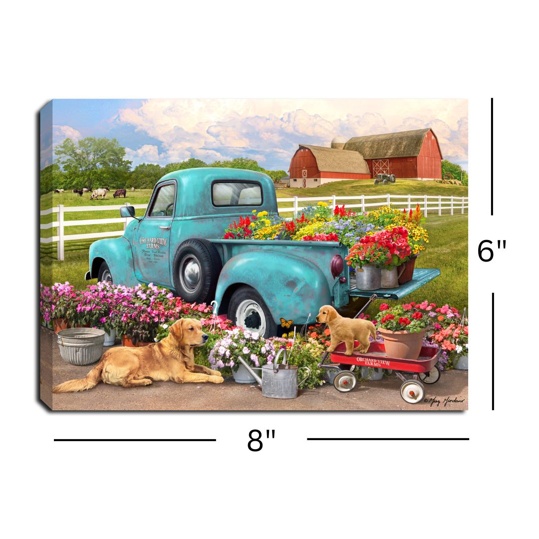 Flower Delivery 8x6 Lighted Tabletop Canvas
