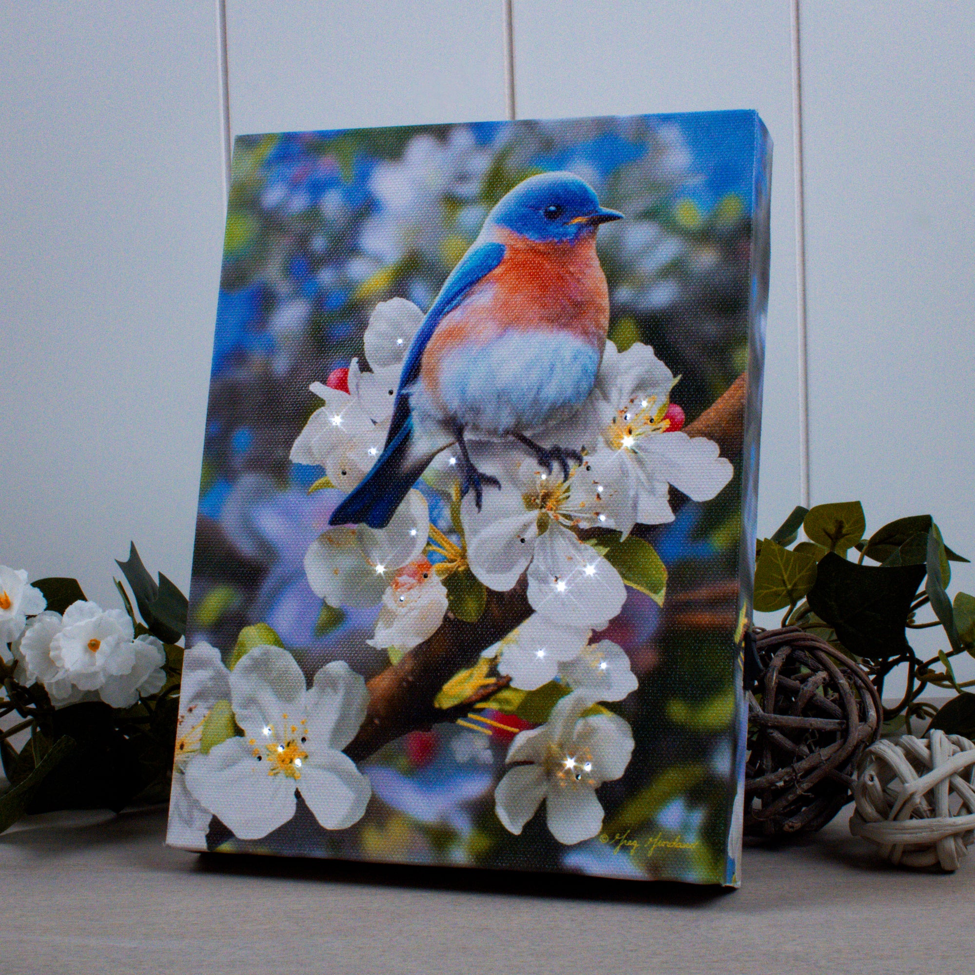 Bluebird 8x6 Lighted Tabletop Canvas