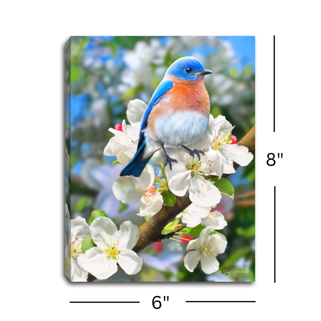 Bluebird 8x6 Lighted Tabletop Canvas