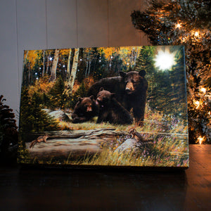 Black Bear Family 8x6 Lighted Tabletop Canvas
