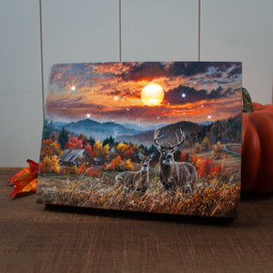 November Light 8x6 Lighted Tabletop Canvas