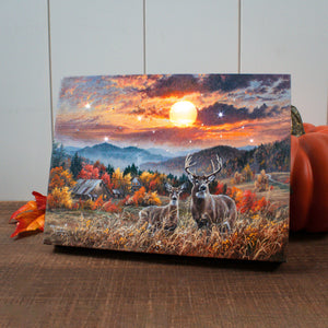 November Light 8x6 Lighted Tabletop Canvas