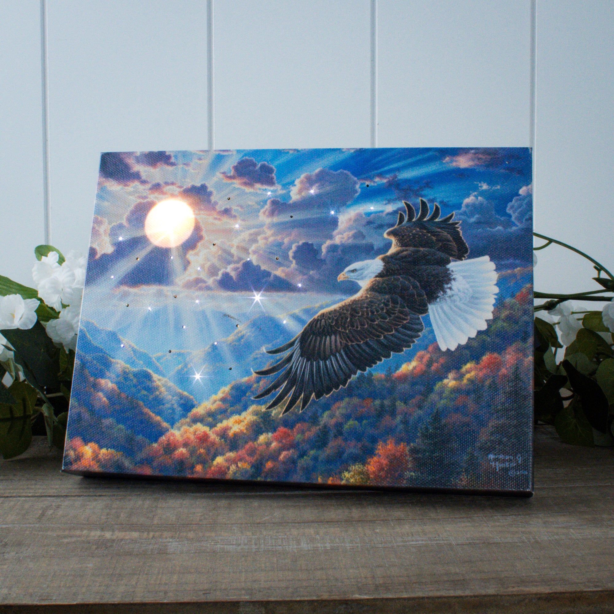 Freedom 8x6 Lighted Tabletop Canvas