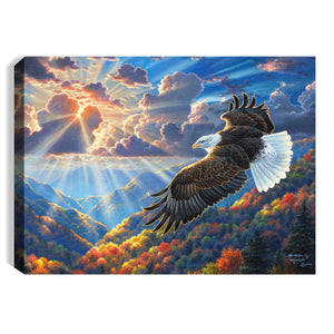 Freedom 8x6 Lighted Tabletop Canvas