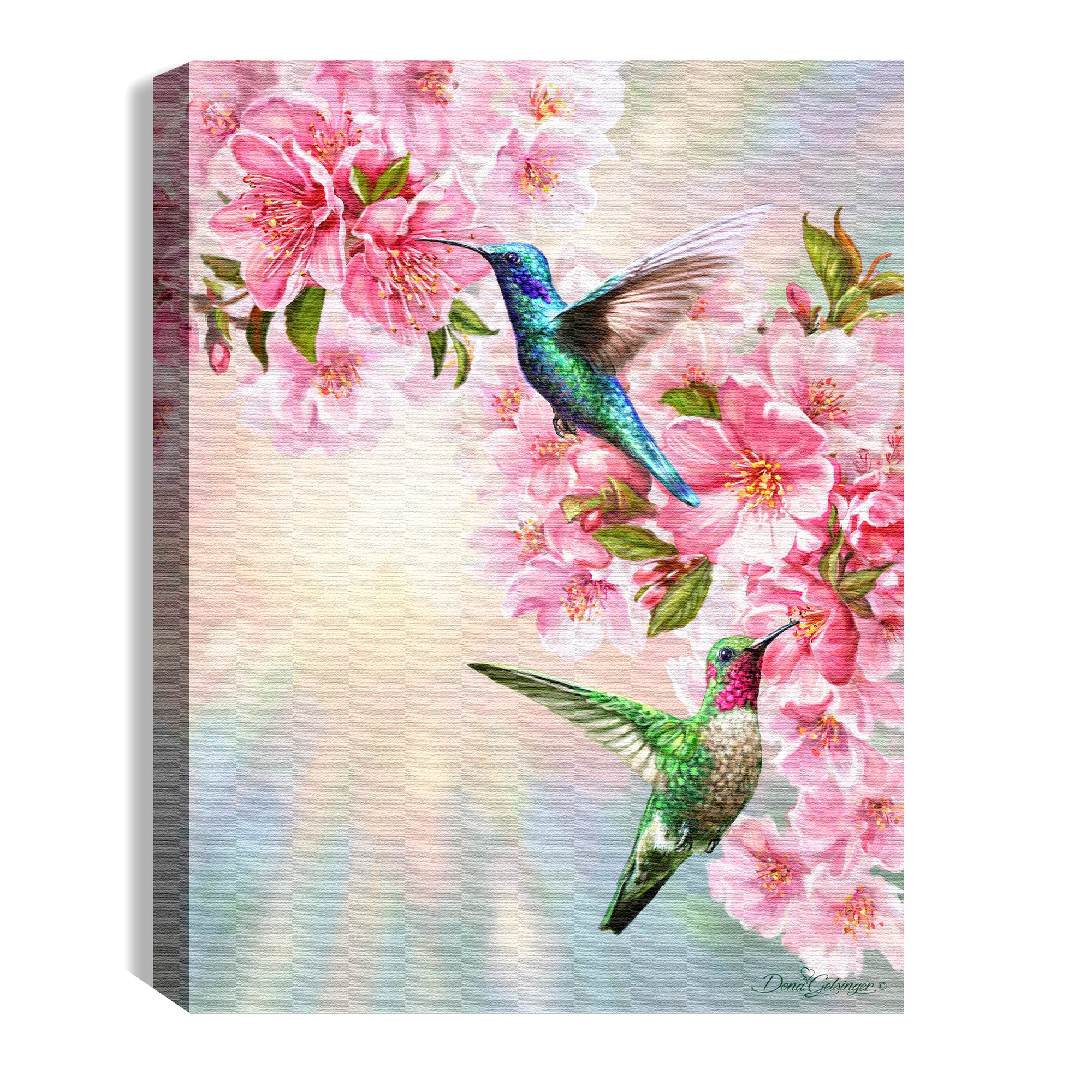 Hummingbirds in Spring 8x6 Lighted Tabletop Canvas