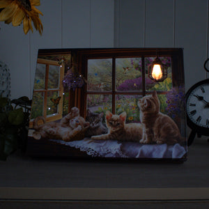 Playful Kittens 8x6 Lighted Tabletop Canvas