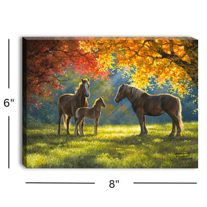 Family Moment 8x6 Lighted Tabletop Canvas