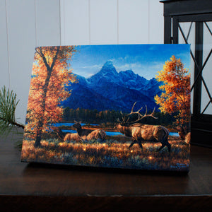 Teton Range 8x6 Lighted Tabletop Canvas