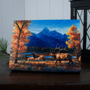 Teton Range 8x6 Lighted Tabletop Canvas