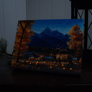 Teton Range 8x6 Lighted Tabletop Canvas