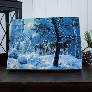 Under The Moonlight 8x6 Lighted Tabletop Canvas