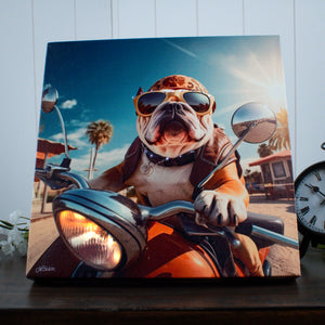 Bulldog Motorcycle 10x10 Lighted Fiber Optic Canvas