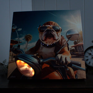 Bulldog Motorcycle 10x10 Lighted Fiber Optic Canvas