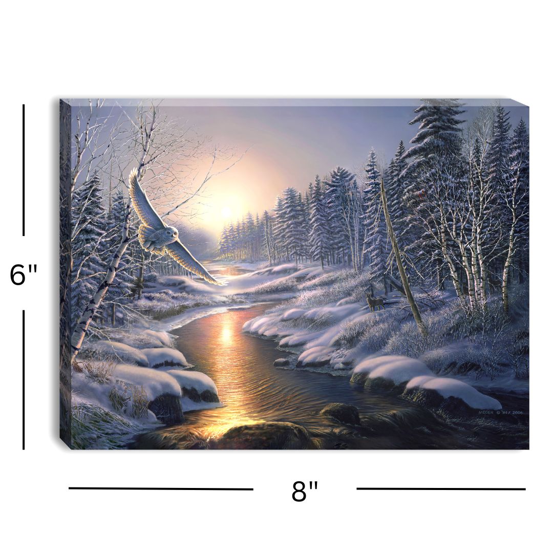 Solstice Snowy Owl 8x6 Lighted Tabletop Canvas