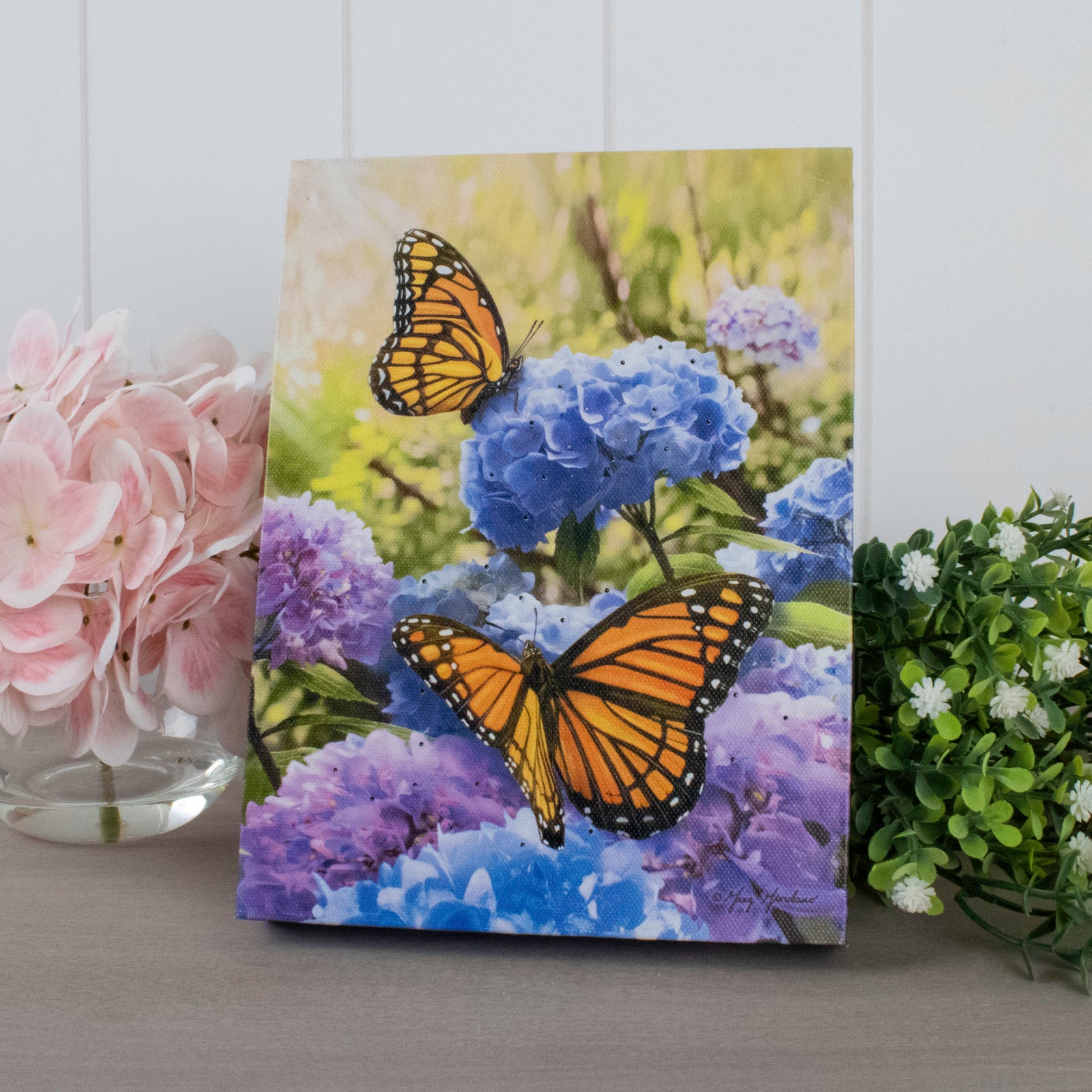 Butterflies and Hydrangeas 8x6 Lighted Tabletop Canvas