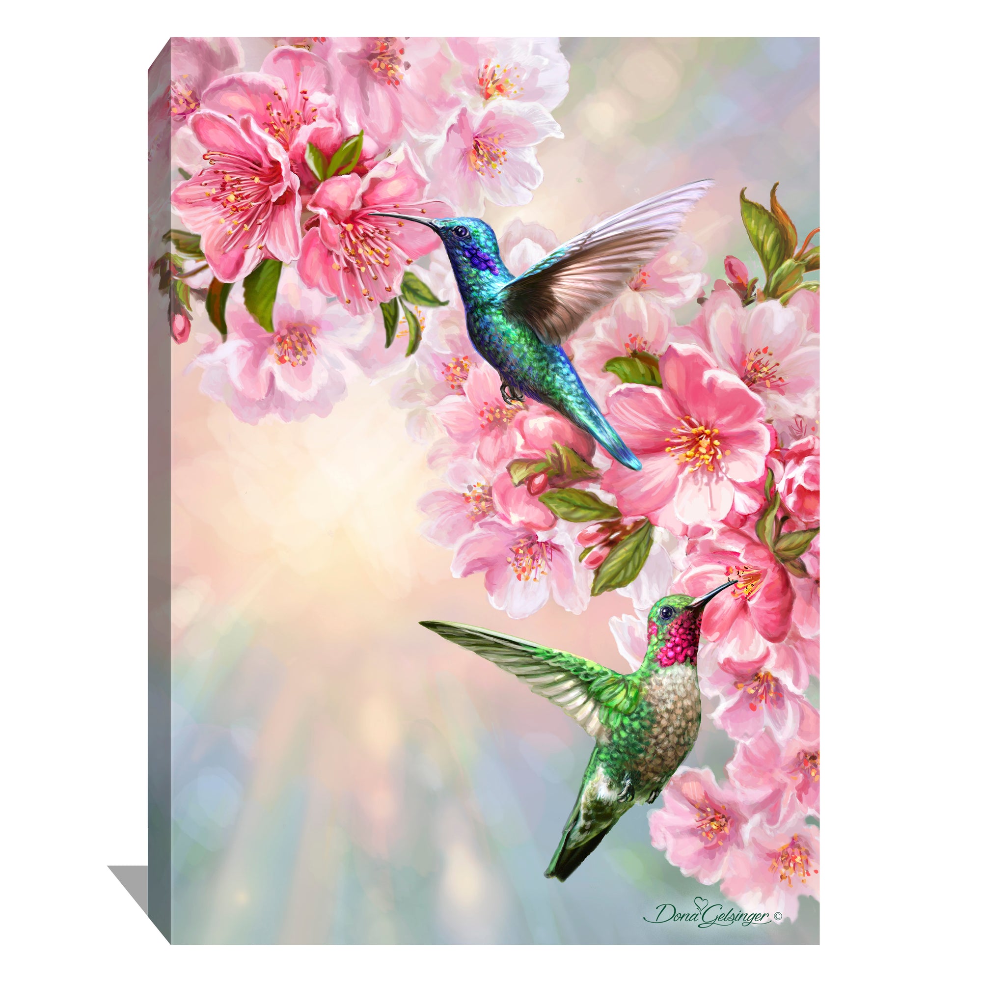 Hummingbirds in Spring Canvas Wall Art