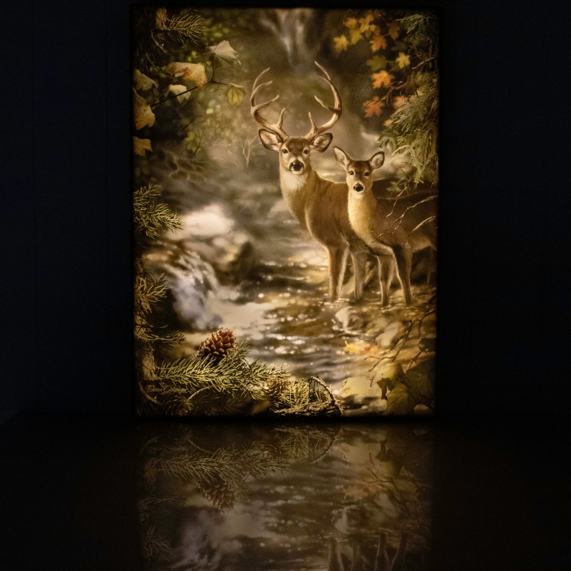 Deer Creek 18x24 Fully Illuminated LED Wall Art