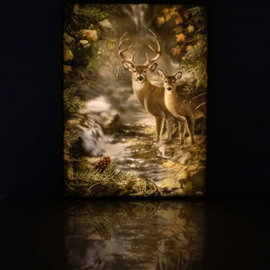 Deer Creek 18x24 Fully Illuminated LED Wall Art