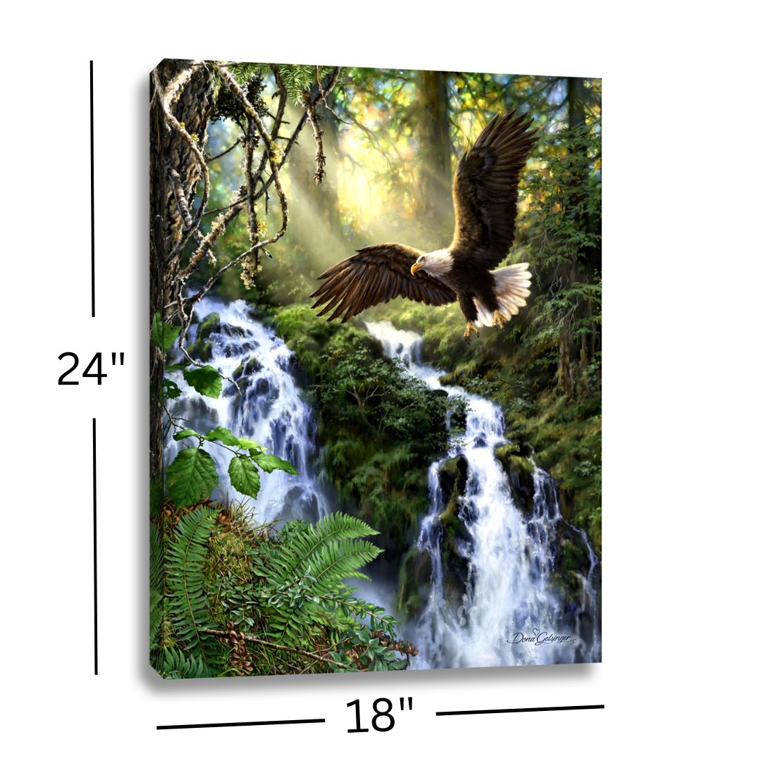 Eagle's Flight 18x24 Fully Illuminated LED Wall Art