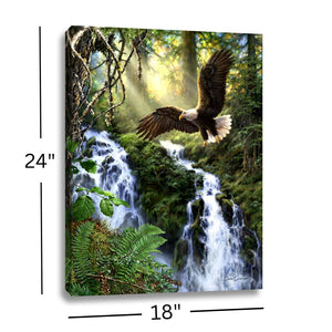 Eagle's Flight 18x24 Fully Illuminated LED Wall Art