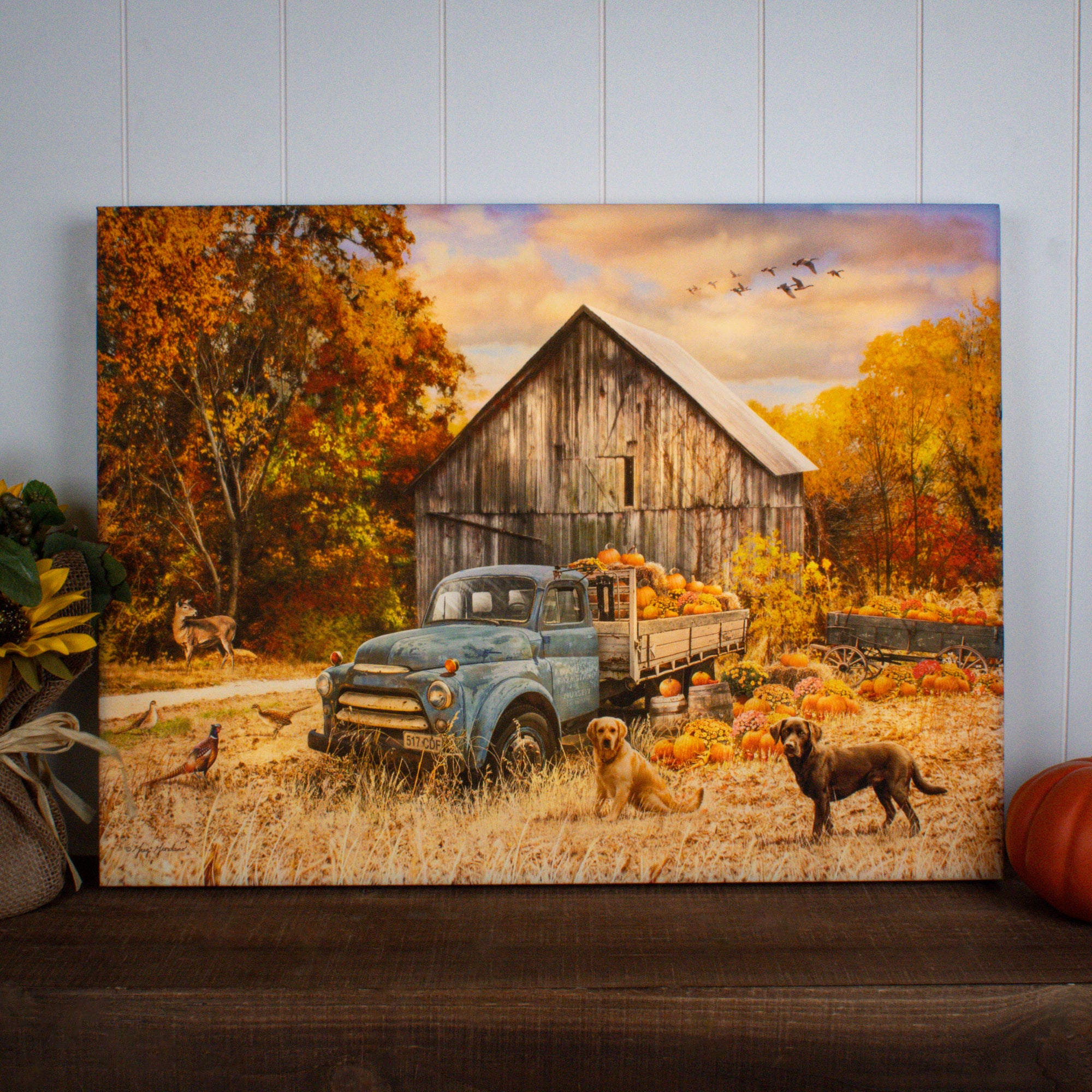 Harvest Day 18x24 Fully Illuminated LED Wall Art