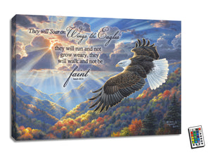 Freedom with Scripture 18x24 Fully Illuminated LED Wall Art