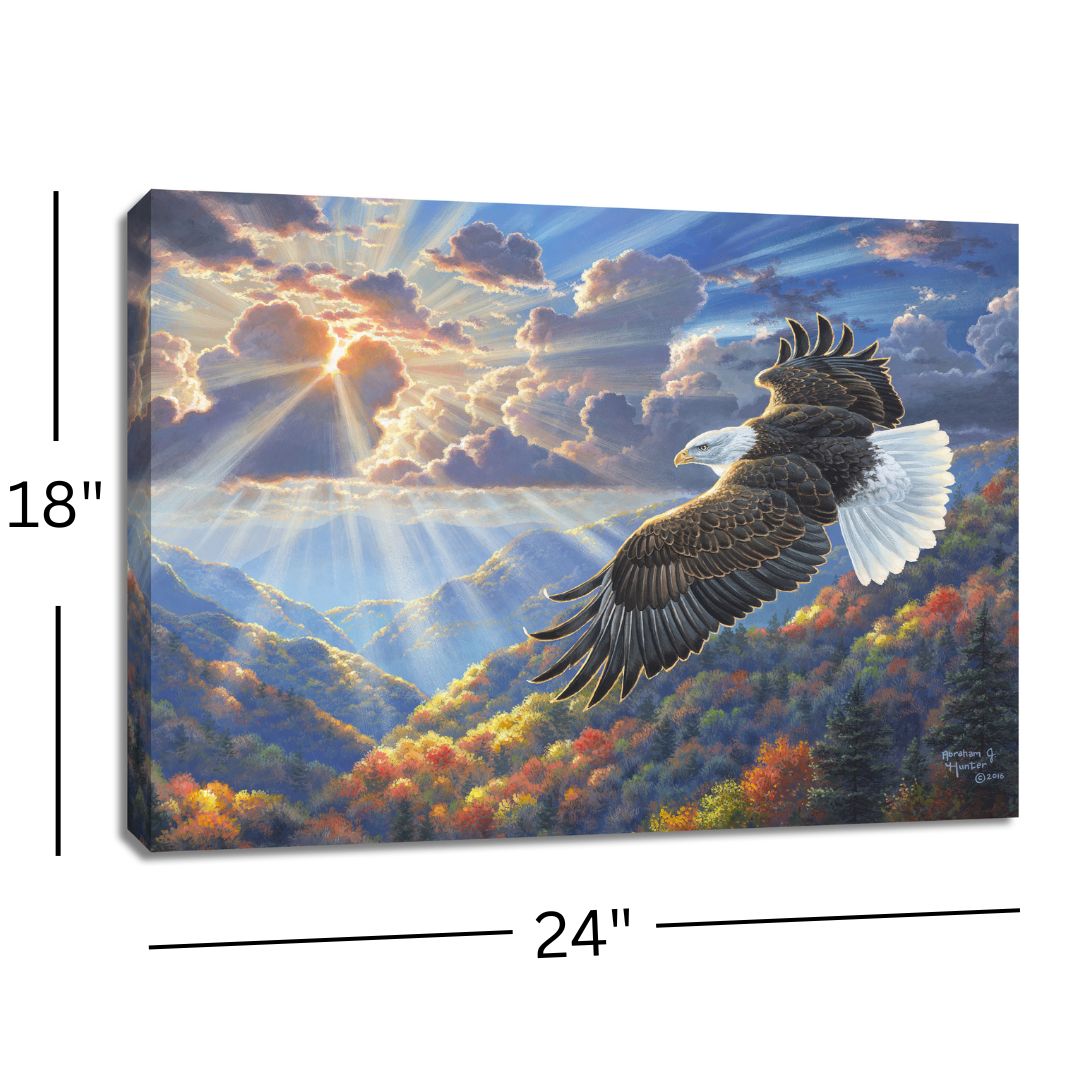 Freedom 18x24 Fully Illuminated LED Wall Art