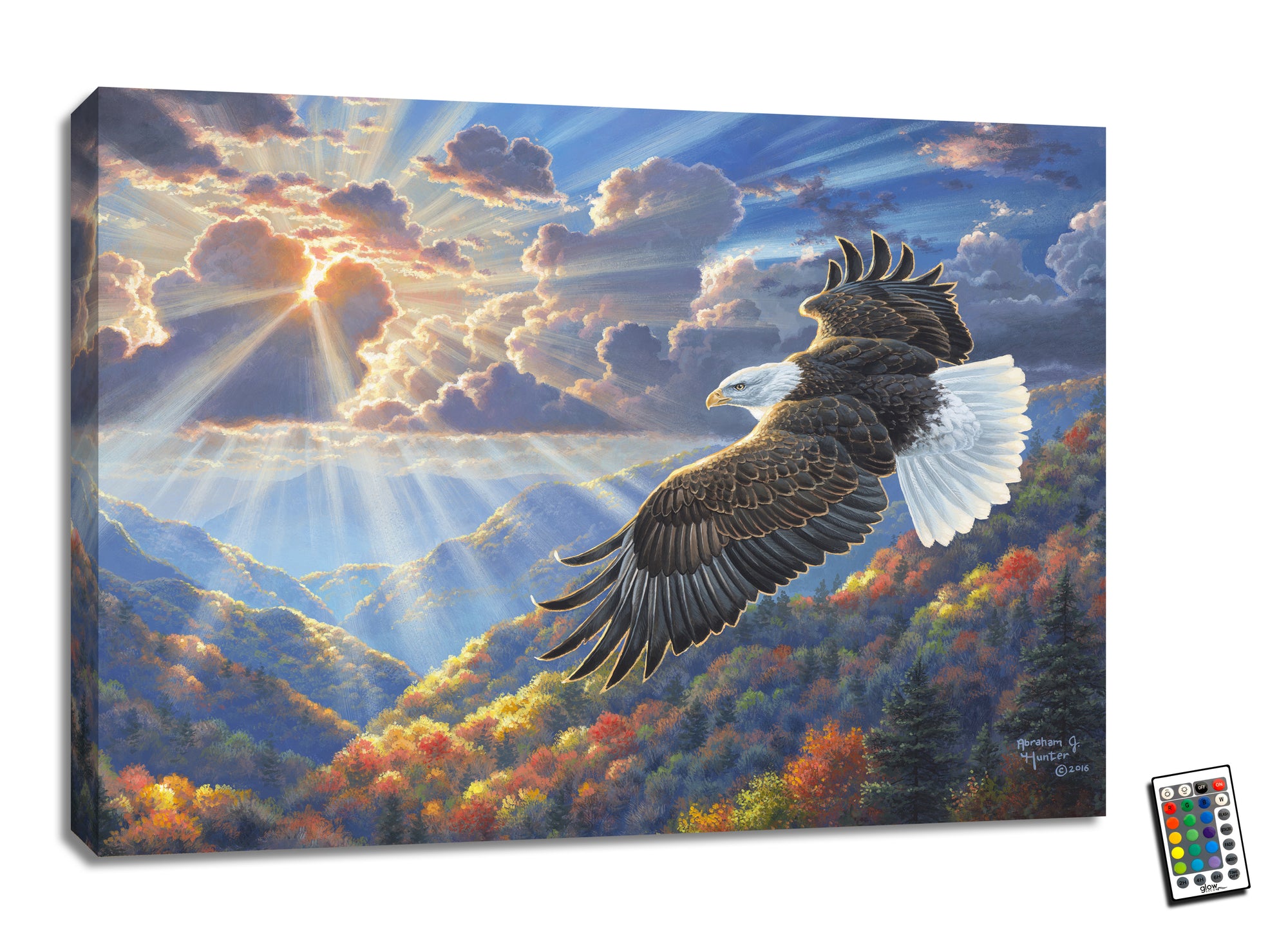 Freedom 18x24 Fully Illuminated LED Wall Art