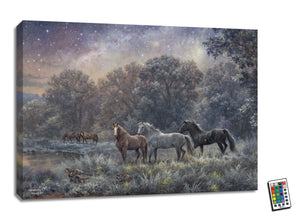 My Farm at Night 18x24 Fully Illuminated LED Wall Art