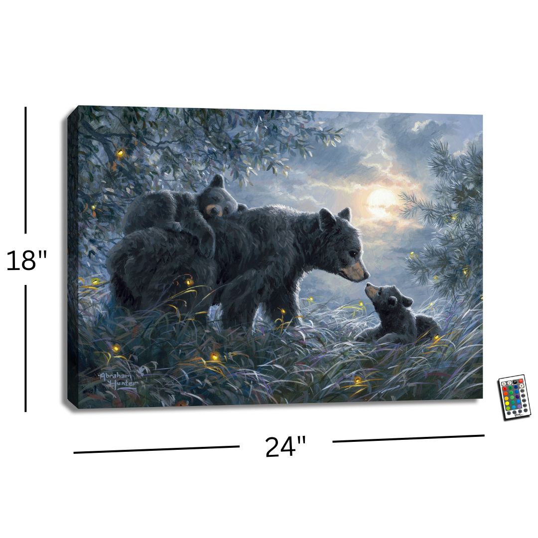 Time to Rest 18x24 Fully Illuminated LED Wall Art