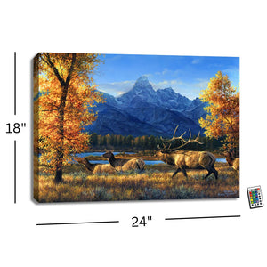 Teton Range 18x24 Fully Illuminated LED Wall Art