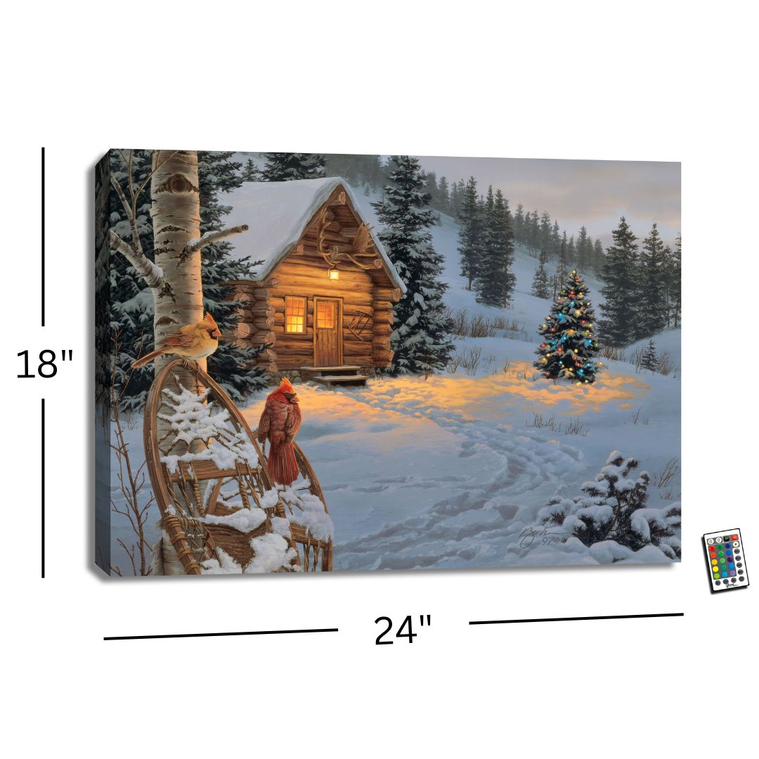 Winter Colors 18x24 Fully Illuminated LED Wall Art