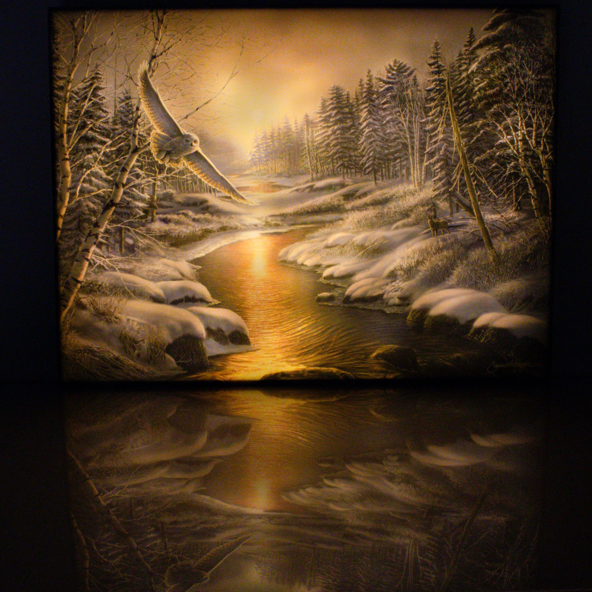 Solstice Snowy Owl 18x24 Fully Illuminated LED Wall Art