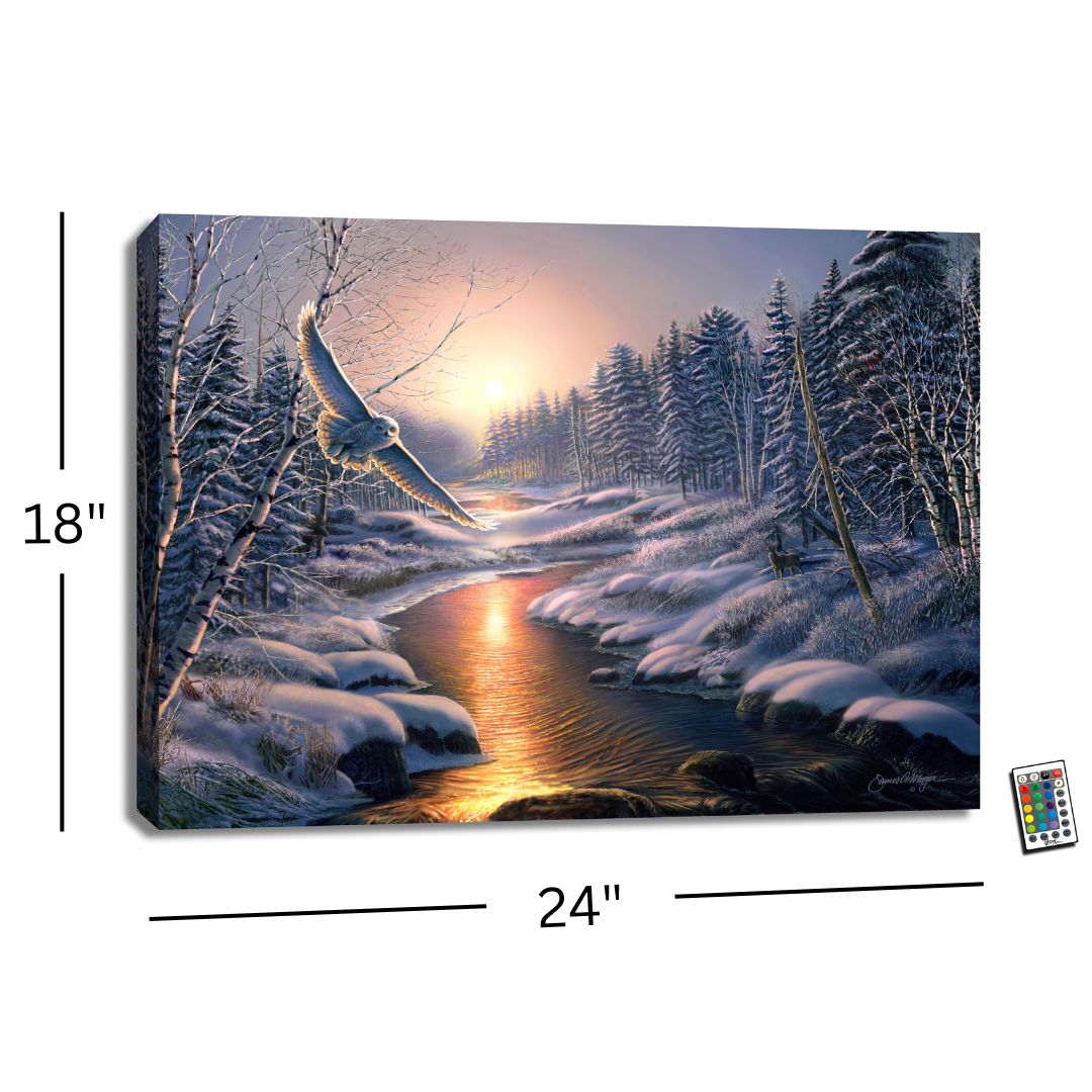 Solstice Snowy Owl 18x24 Fully Illuminated LED Wall Art