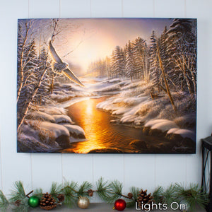 Solstice Snowy Owl 18x24 Fully Illuminated LED Wall Art