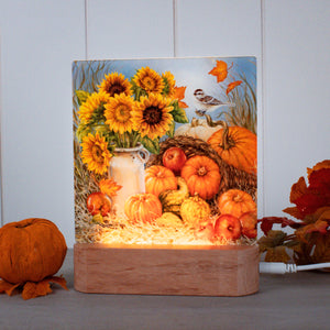 Faith Through the Seasons – Dona Gelsinger Interchangeable Nightlight Set