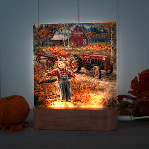 Pumpkin Patch LED Nightlight