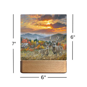 November Light LED Nightlight