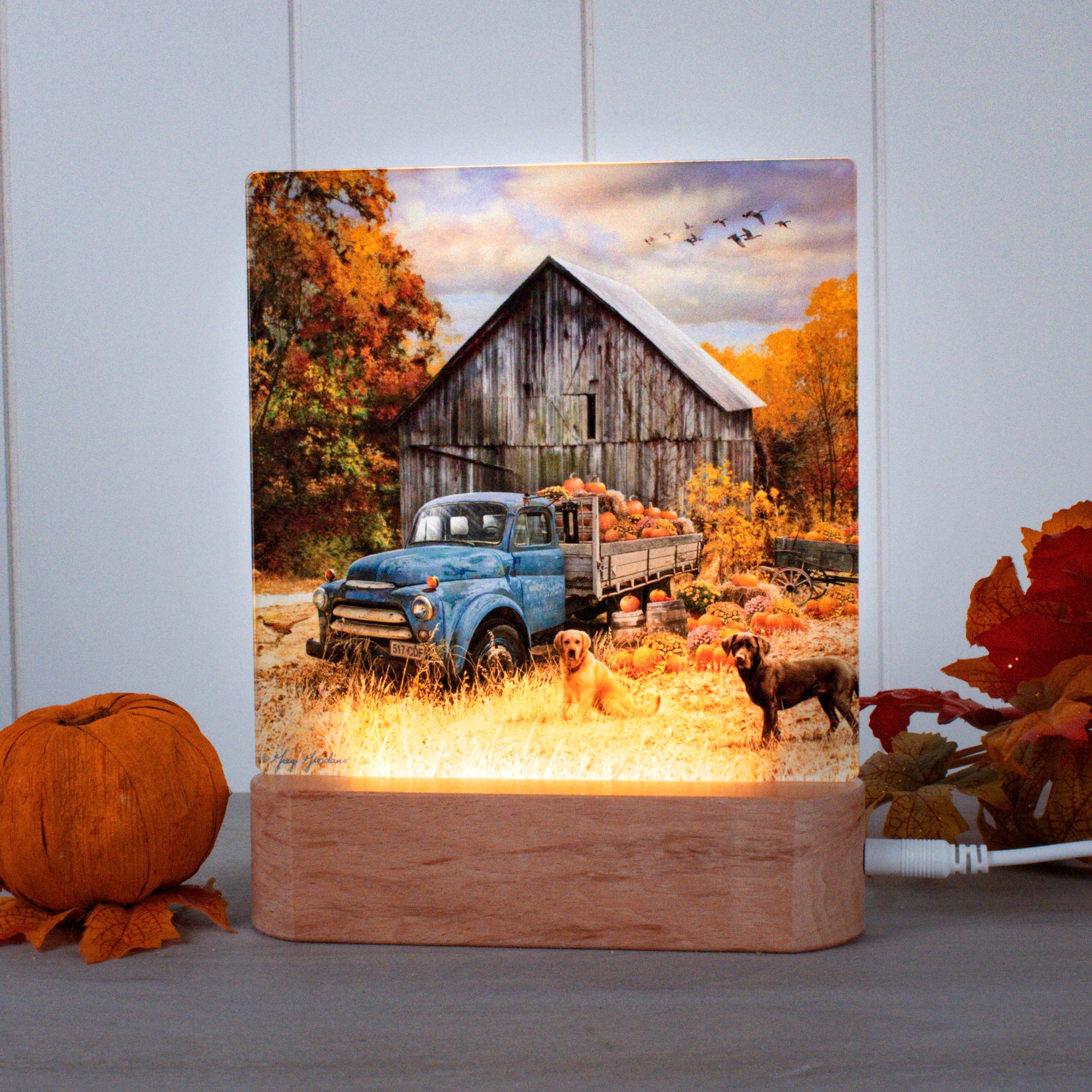 Harvest Day LED Nightlight