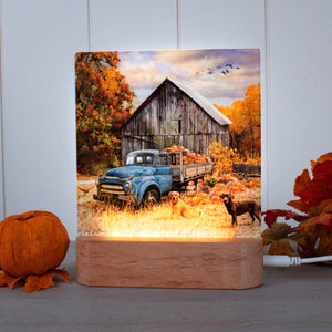 Harvest Day LED Nightlight