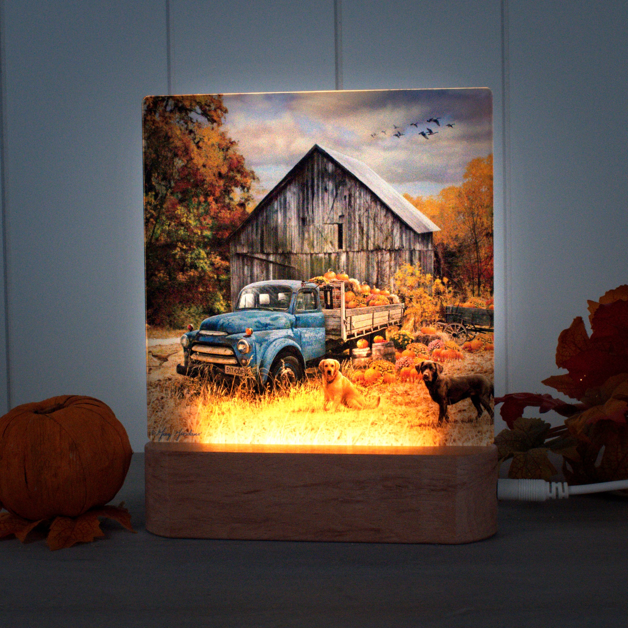 Harvest Day LED Nightlight