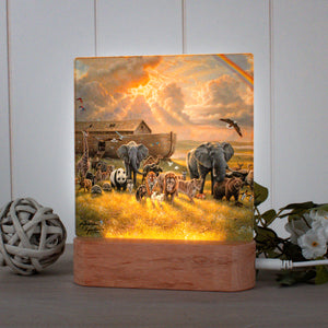 A New Beginning LED Nightlight