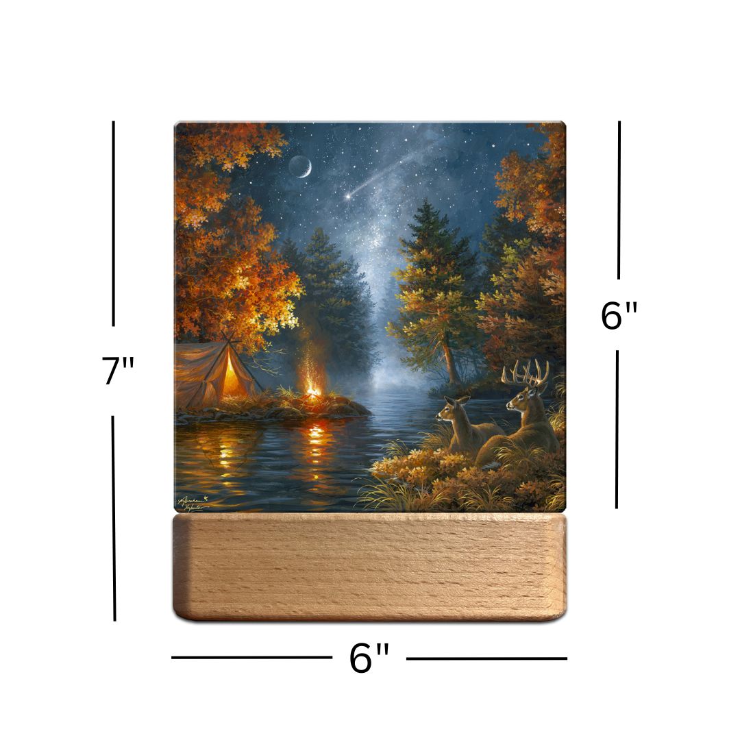 Wishing Upon a Star LED Nightlight