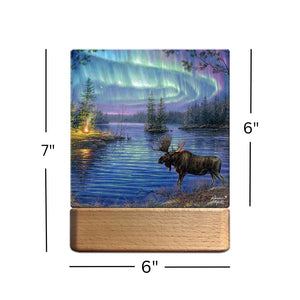 Northern Night LED Nightlight