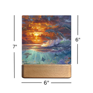 Beyond the Shore LED Nightlight