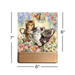 Kittens in the Garden LED Nightlight
