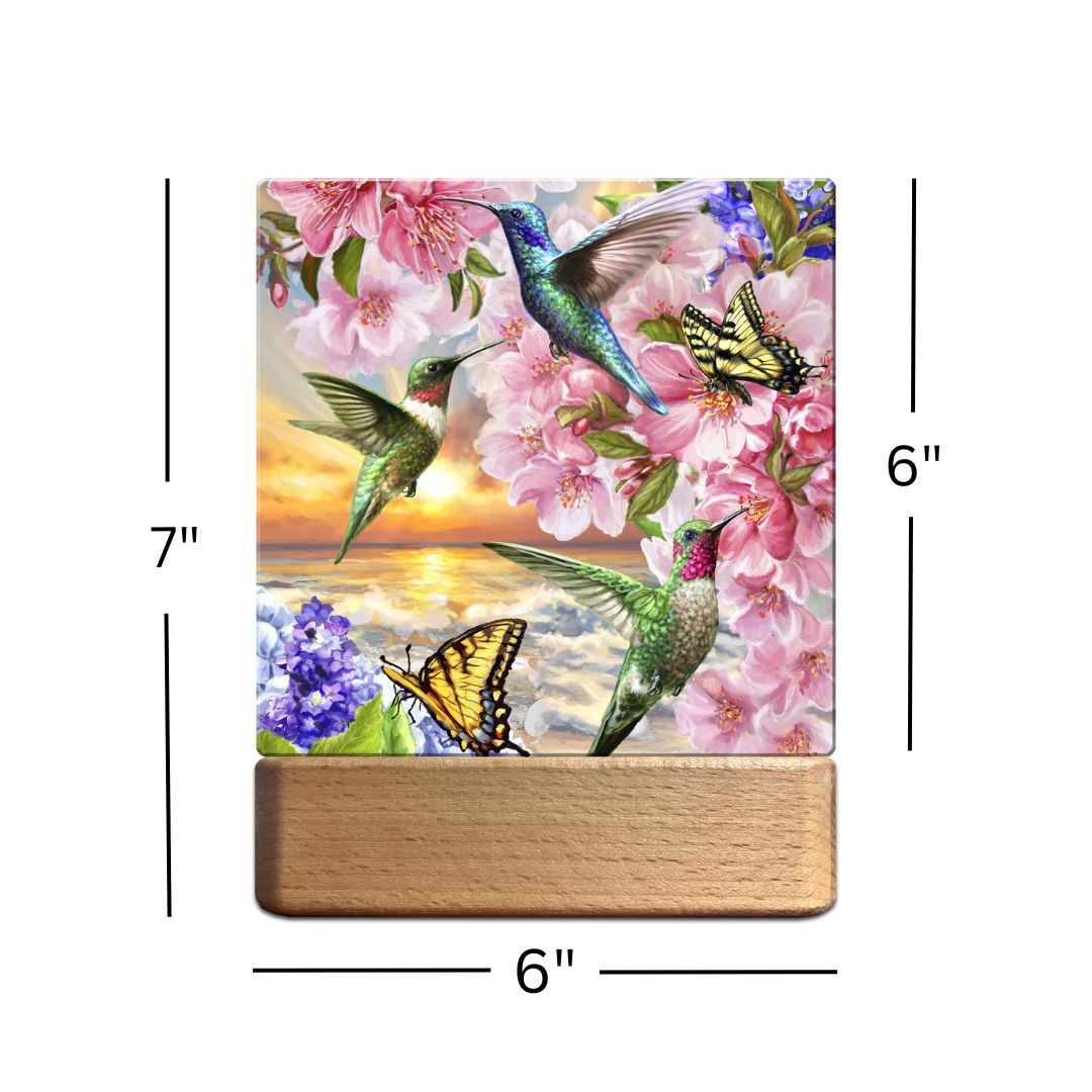 Hummingbird Sunset LED Nightlight