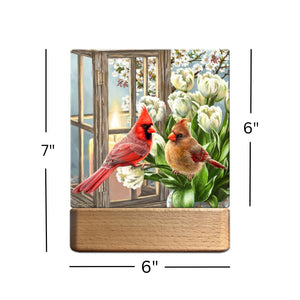 Sweet Cardinals LED Nightlight