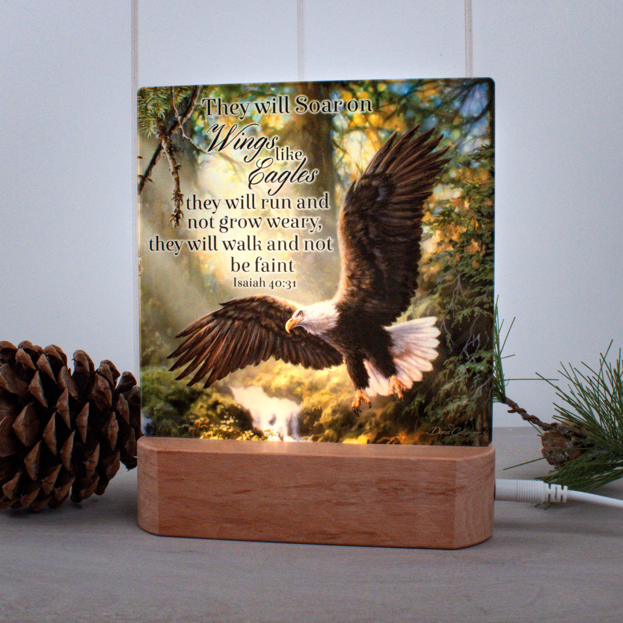 Eagle's Flight with Scripture LED Nightlight