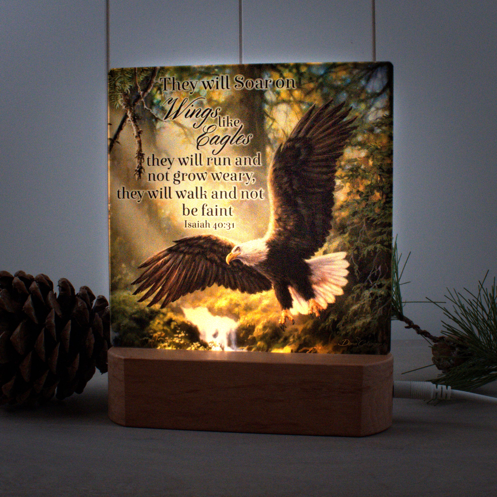 Eagle's Flight with Scripture LED Nightlight